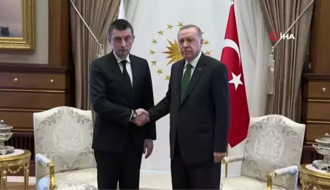 Cumhurbaşkanı Erdoğan, Gürcistan Başbakanı Giorgi Gakharia ile görüştü