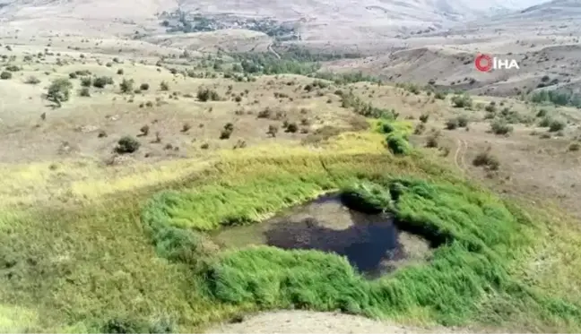 Divriği'de bulunan yüzen adalar keşfedilmeyi bekliyor