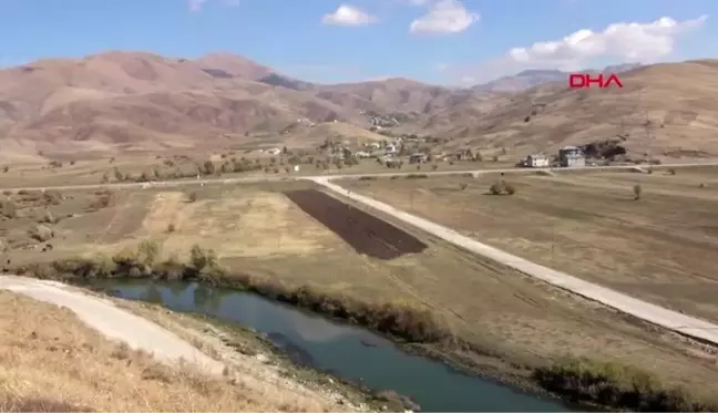 Hakkari akıma kapılıp yaralanan kızıl şahine şantiye bekçisi sahip çıktı