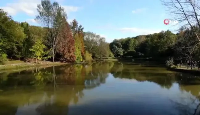 Atatürk Arboretumu'nda sonbahar manzaraları