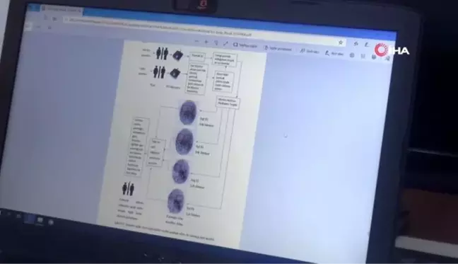 Parmak izinden cinsiyet ve yaş tespitini başarılar