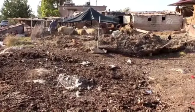 Besici çift koyunları çalındığı iddiasıyla polise başvurdu