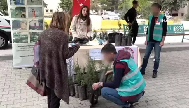 Denetimli serbestlik yükümlüleri tarafından 500 fidan dağıtıldı