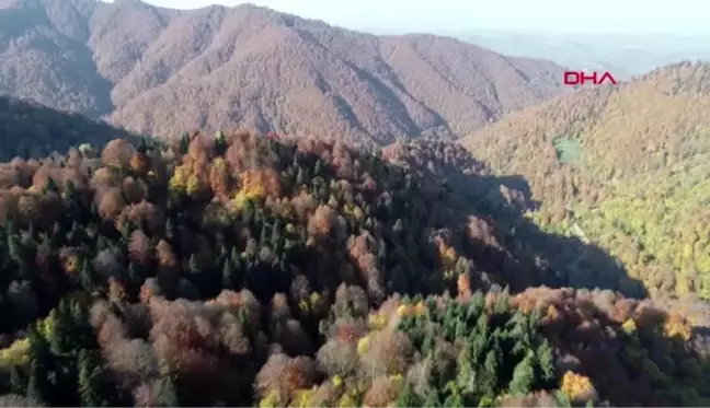 Batı karadeniz'in keşfedilmeyi bekleyen şirin beldesi gümeli'de sonbahar güzelliği