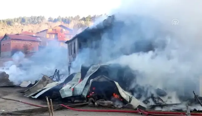 Bir köyde 4 ev, 6 samanlık, bir ahır yandı - BOLU