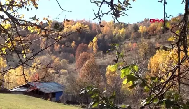 Karadeniz'de havalar soğudu, köyler sessizliğe büründü