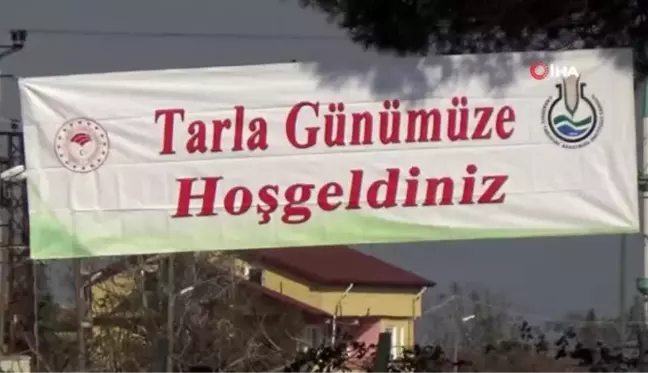 Tarla gününde 'yerli ve milli lahana' çeşitleri tanıtıldı