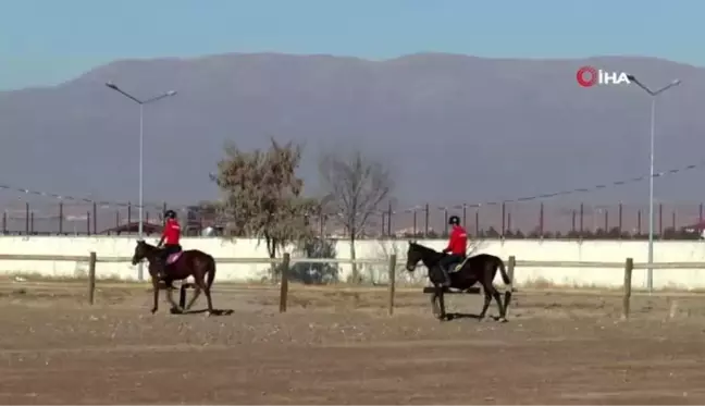 Atçılık ve antrenörlüğü bölümü genç öğrencilerin gözdesi