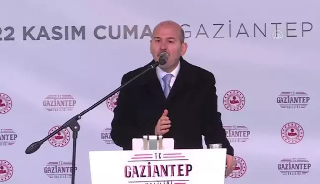 Soylu: 