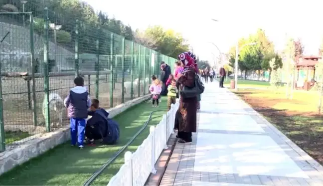 Yavru maymun Kiçi parkın gözdesi oldu