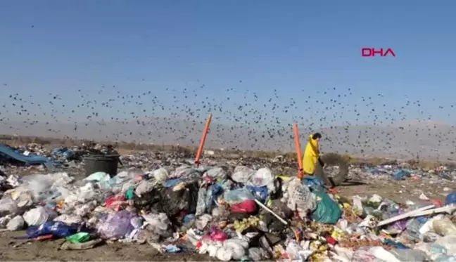 Erzincan profesör çöp depolama alanında atıklara dikkat çekti