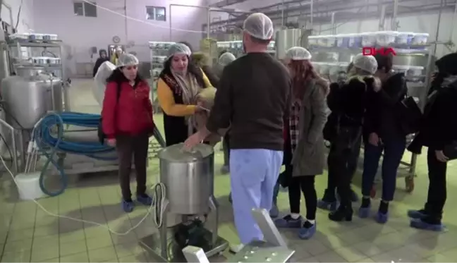 Hakkari kadın girişimciler yüksekova'da işletmeleri gezdi