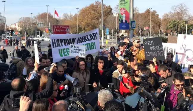 Hayvan hakları savunucuları Büyükada'daki ruam hastalığı nedeniyle İBB önünde eylem yaptı