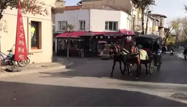 Adalar'da ruam hastalığına yakalanan atların itlaf edilmesi