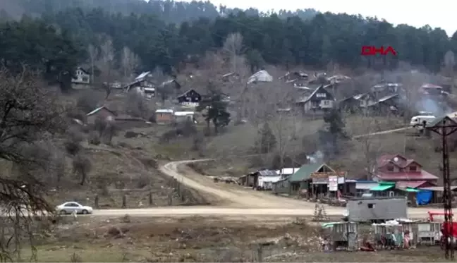 Bolu'da 8 atın 'ruam' karantinası sürüyor