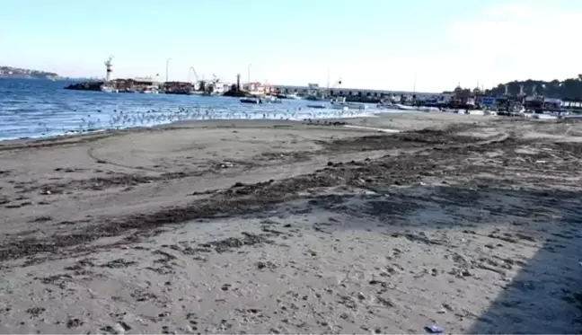 Tekirdağ'da deniz 25 metre çekildi