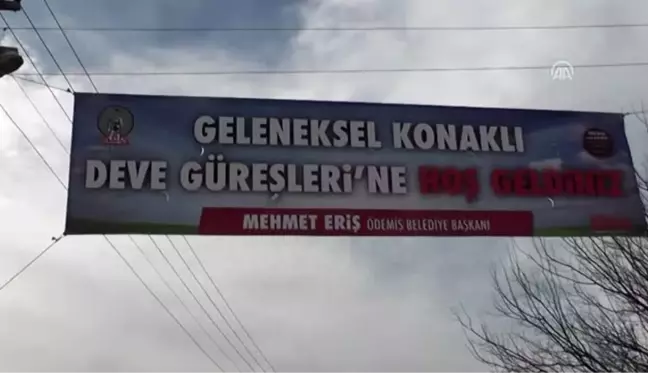 Ödemiş'te 24. Geleneksel Deve Güreşleri Şenliği