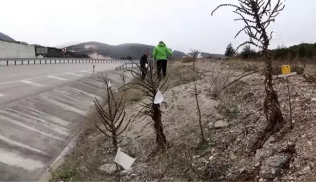 Ödüllü mimardan çevre peyzajında 