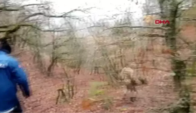 Çorum'da kayıp genç ve kayıp alzheimer hastası aranıyor