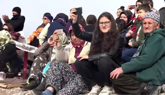 İzmir menemen'de deve güreşleri'ne, haytap'tan tepki