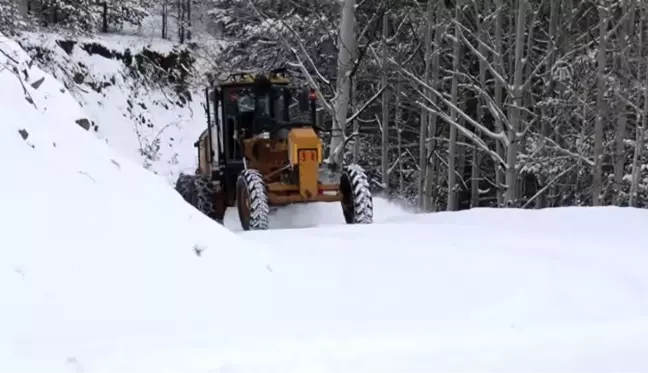 Doğu Karadeniz'de kış