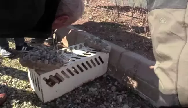 Tuzağa yakalanan nesli tükenme tehlikesi altındaki yaban kedisi doğaya bırakıldı - SİİRT