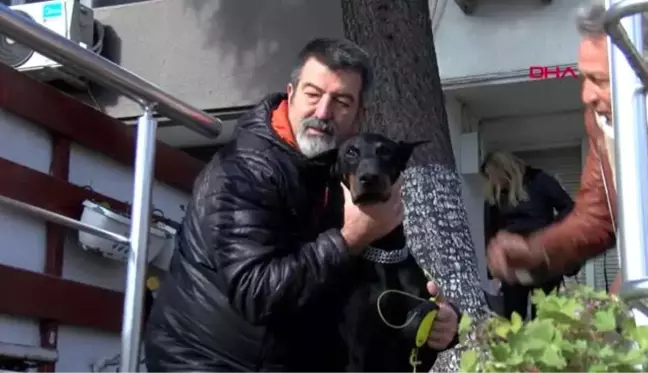 Bakan pakdemirli'nin sahip çıktığı köpek 'bobo' katarakt ameliyatı oldu