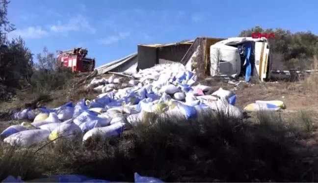 Çanakkale devrilen yem kamyonunun şoförü yaralandı