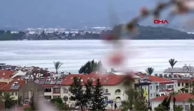 Muğla-fethiye'de badem ağaçları çiçek açtı