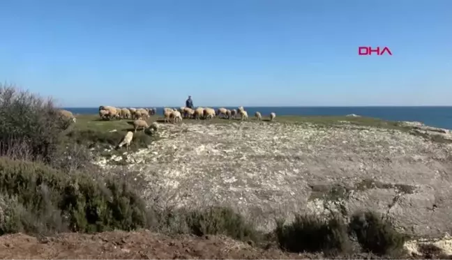 Çobanlık yapan Veysel, dalga sörfünde Türkiye üçüncüsü oldu