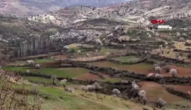 Engebeli tarlalar, binlerce yıllık gelenekle sürülüyor