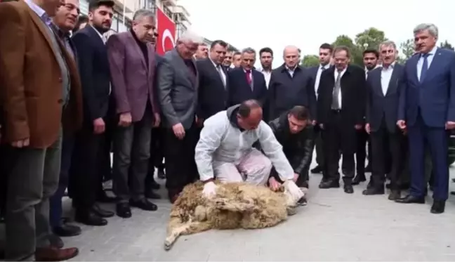 Ulaştırma ve Altyapı Bakanı Turhan Samsun'da incelemelerde bulundu