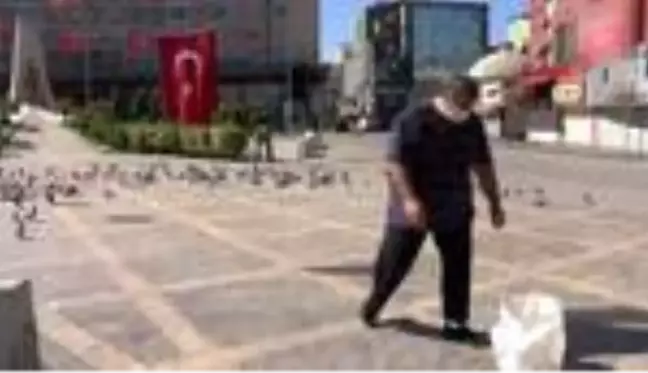 ADANA Boş meydandaki güvercinleri, fırıncı besledi