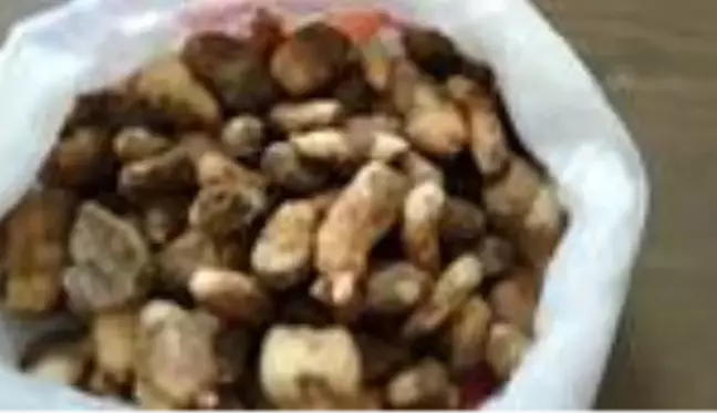 Kaçak salep soğanı toplayan 2 kişiye 153 bin 794 lira ceza