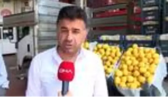 ADANA İhracat kapanınca limon halde kaldı