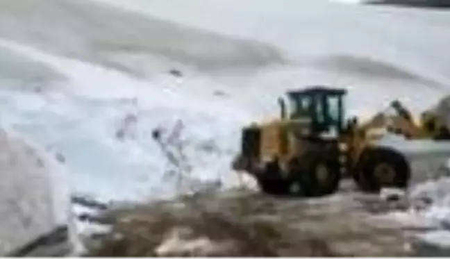 Ordu'nun yüksek kesimleri beyaza büründü