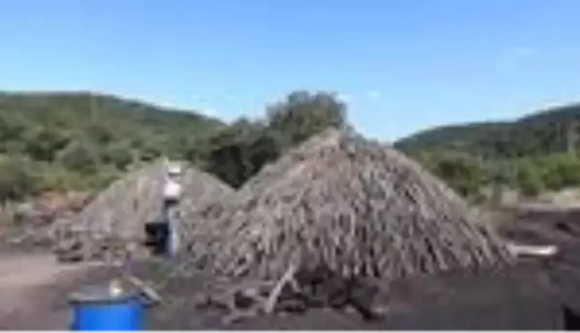 Geçimlerini mangal kömürü yaparak sağlıyorlar - ÇANAKKALE