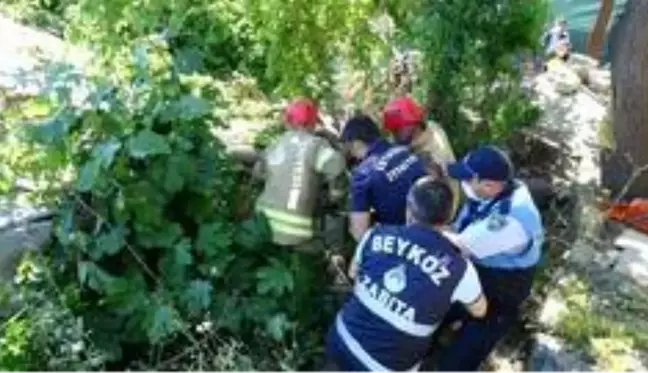 Beykoz'da yarım asırlık dut ağacı binanın üzerine devrildi