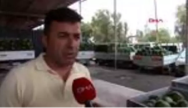 Son dakika haber | ADANA KAVUN VE KARPUZDA; TARLA, HAL VE MARKET FİYATLARI ARASINDA UÇURUM OLUŞTU