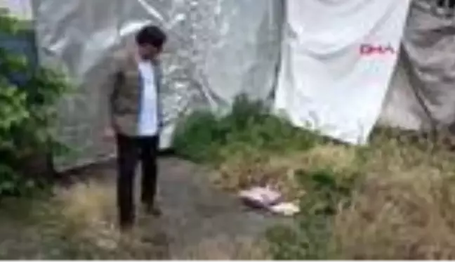 Bacakları kesilen kedinin ölümüyle ilgili soruşturma başlatıldı