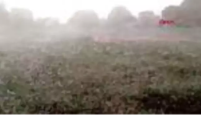 Tokat'ta dolu tarım arazilerine zarar verdi