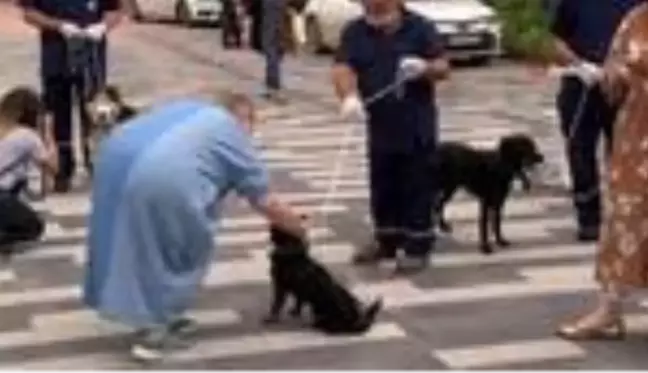 Son dakika genel: İtfaiye ekiplerinin sahiplenerek eğittiği arama kurtarma köpekleri programda boy gösterdi