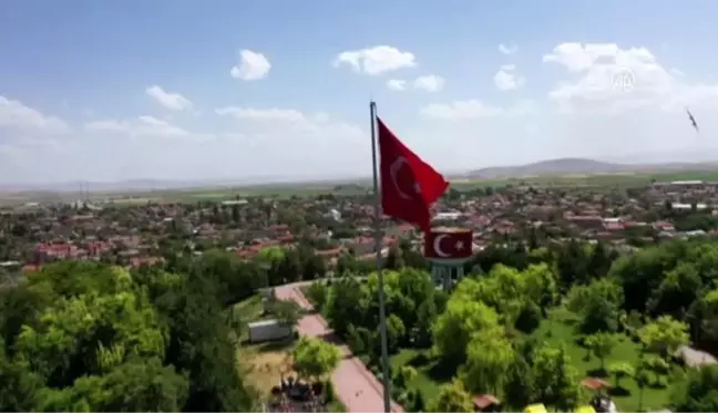 Hayatını yeşile adayan Himmet amca 11 yılda binlerce ağaç dikti