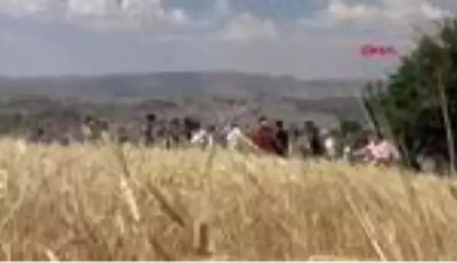 Şırnak'ta buğday hasadı şenliği düzenlendi