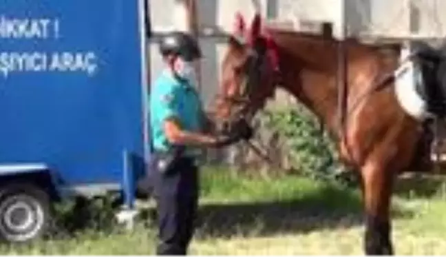 Sarımsaklı plajlarının güvenliği atlı jandarma timlerine emanet