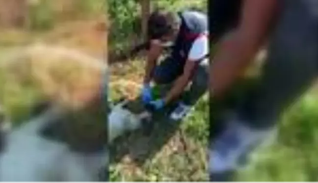 BURSA Polis memuru, baygınlık geçiren köpeğe elleriyle su içirdi