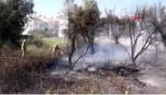 BALIKESİR TIR'ın alev alan lastik parçası, yazlık evin çatısını yaktı