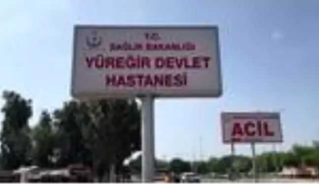 Arının soktuğu kişi hastaneye kaldırılırken öldü