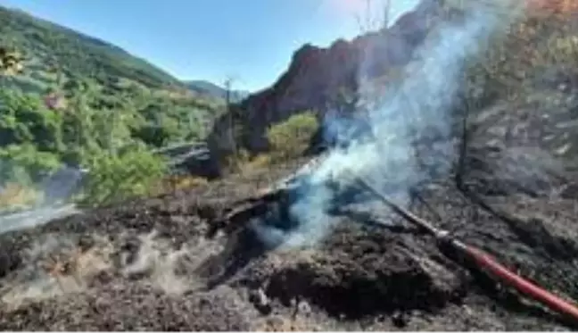 Gümüşhane'de otlar tutuştu, çok sayıda bahçe küle döndü