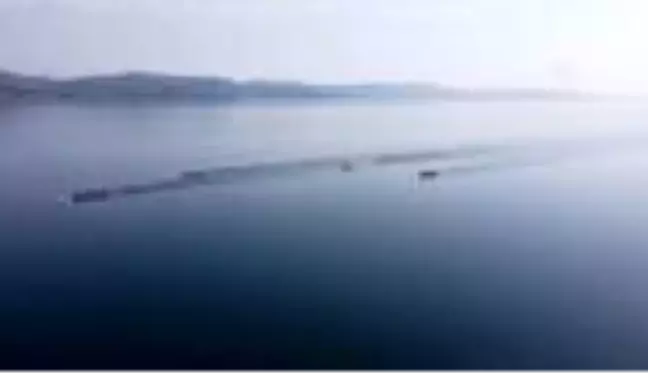 Gençler Türkiye Kupası Kürek Yarışları başladı